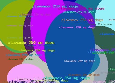 CLAVAMOX 250 MG DOGS