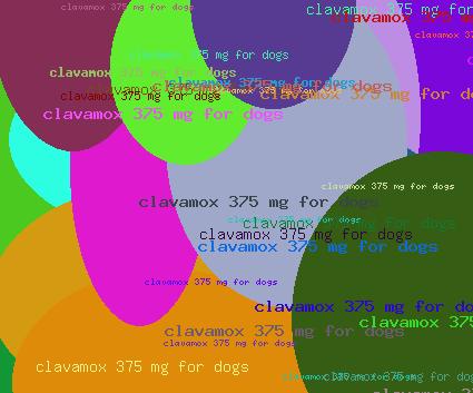 Clavamox 375 Mg For Dogs
