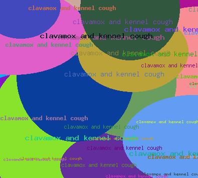 Clavamox And Kennel Cough