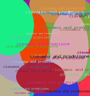 clavamox and prednisone