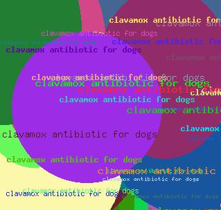 clavamox antibiotic for dogs