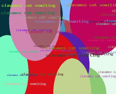 CLAWAMOX CAT VOMITING