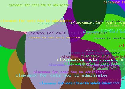clavamox for cats how to administer