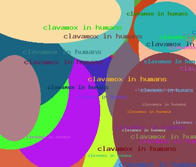 clavamox in humans