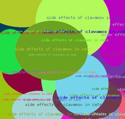 Side effects of clavamox in cats